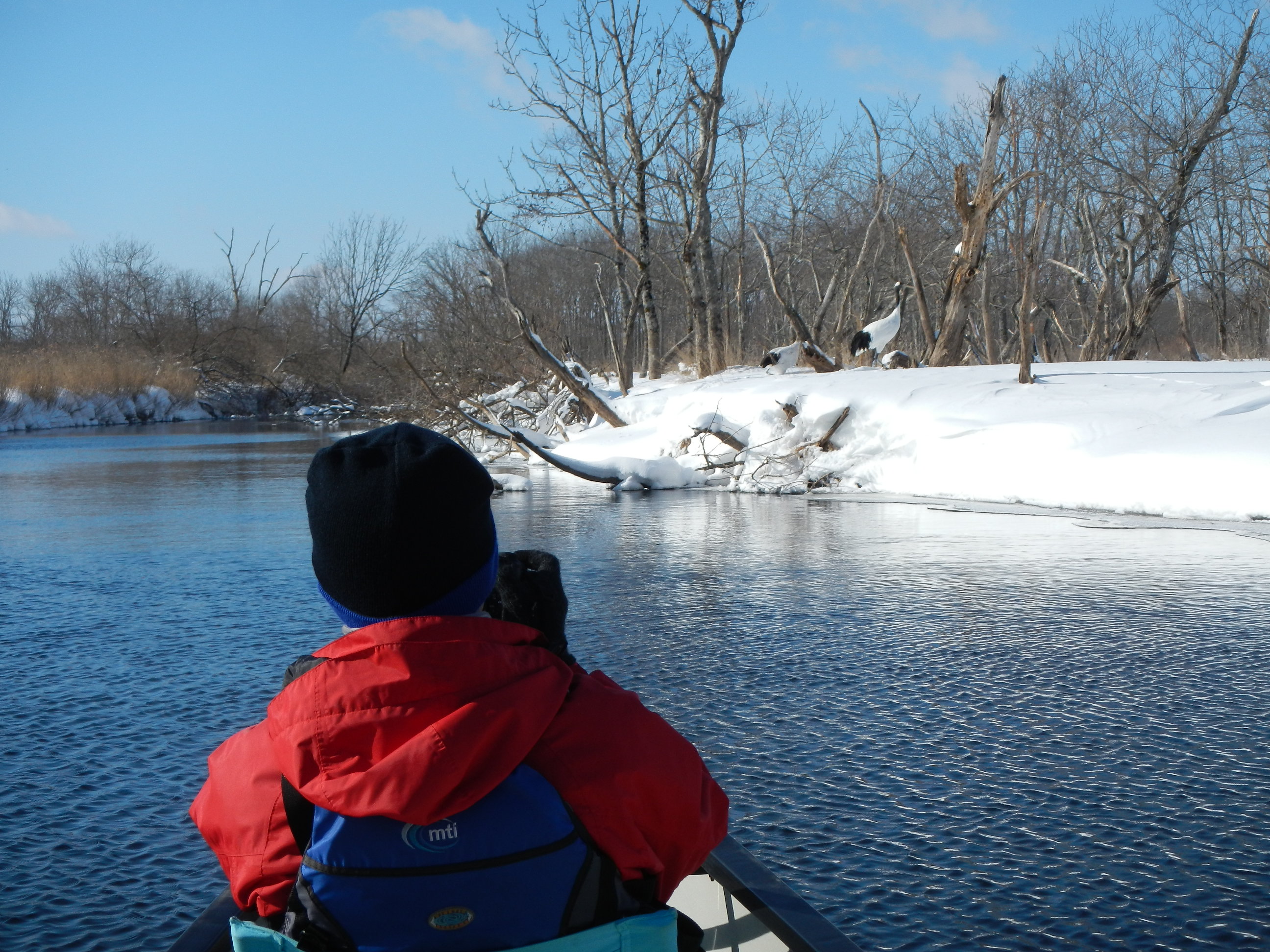 湿原トレッキング