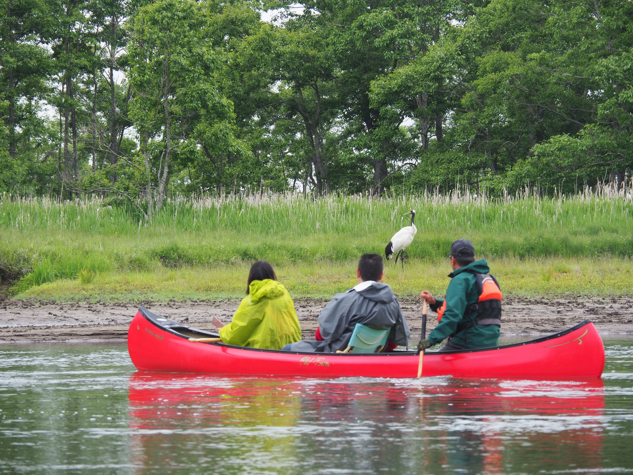 釧路川ネイチャーカヌー